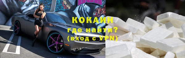 шишки Лагань