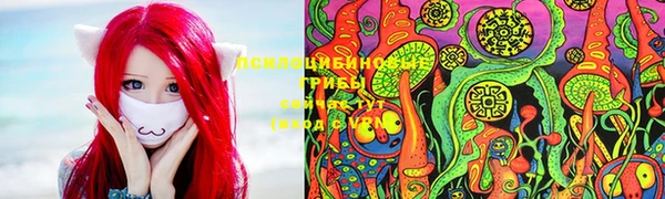 шишки Лагань