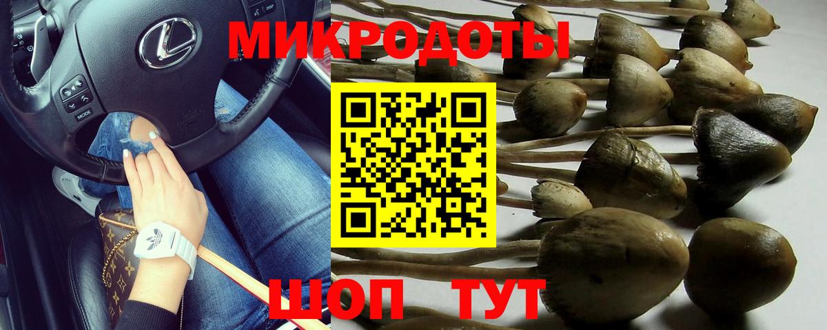 Новокузнецк  Псилоцибиновые грибы Magic Shrooms  Вход с VPN 